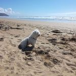 Florence Gilbert - @florence.gilbert.501 - Instagram
