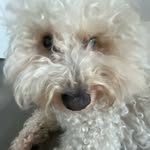 Florence Giles - @florencegiles10 - Instagram