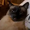 Florence Giles - @florence.giles24 - TikTok