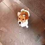 Florence Vos-Giles - @vosgiles - Instagram