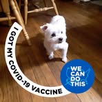 Florence Gillard - Facebook