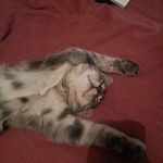 Florence Gomez - @gomez_florence - Instagram