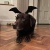 florence.goodson - @florence.goodson - TikTok