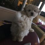 Florence - @florence__gregory - Instagram