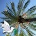 Florence Gregory - Facebook