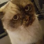 florence gregory - @mrgregorgzzzz - Instagram