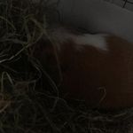 Florence Griffiths - @messages4flo2018 - Instagram