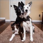 Florence Grimes - @florencegrimes869 - Instagram