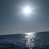 florencegross - @florencegross - TikTok