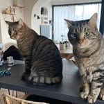 Florence Guin - @guin.florence - Instagram
