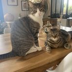Florence Guin - Facebook