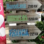 Florence Guinault - @florenceguinault - Instagram