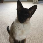 Bevin Gunn-Florence - @bevingunnflorence - Instagram