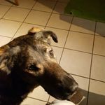 Florence Speckhahn - @florencespeckhahn - Instagram
