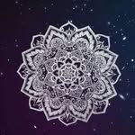 Florence Hamel - @florencehamel6352 - Instagram