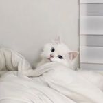 @florencehandita - Instagram
