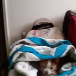 Florence Harbin - Facebook