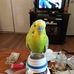 Florence Hardin - Facebook