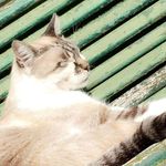 Florence Hartmann - @florence.hartmann.505 - Instagram