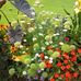 Florence Hecky - Facebook
