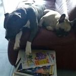 Florence Statz Heck - @statzheck - Instagram