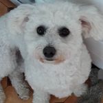 Florence Herbert - @florenceherbert77 - Instagram