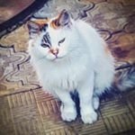 Florence HERBERT - @florenceherbert10 - Instagram