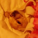 Florence Herrera - @florence.herrera.1 - Instagram