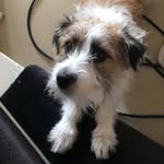 Florence Hobson - @florencehobson554 - Instagram