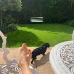 Florence House in the Cotswolds - @florencehousecotswolds - Instagram