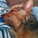 Florence Diana Hunt - @ladygloucester - Instagram