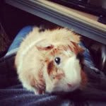 Florence Ingram - @busindeno - Instagram