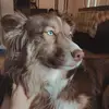 Florence Ingram - @nf.ingram - TikTok