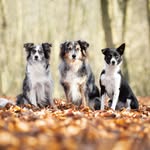 Florence Jacques Houssa - @florencejacqueshoussa - Instagram