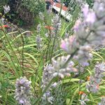 Florence_jenkins - @florence_jenkins - Instagram