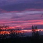 Florence Jenkins - @florencejenkins - Instagram