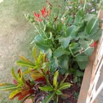 Florence Julius - Facebook