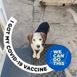 Florence O'Keefe - @florenceokeefe41 - Instagram