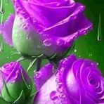Florence Kim - Facebook