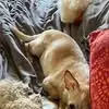 Florence Koch - @florence.koch1 - TikTok