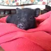 Florence Koch - @florence.koch3 - TikTok
