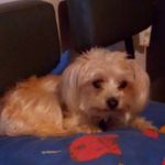 Florence Koenig - @florence.koenig.9 - Instagram