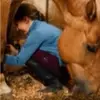 Florence Labrecque - @florence.labrecqu2 - TikTok