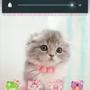 Florence Lai - @florence.lai - TikTok