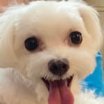 Florence Lai - @florence.lai.1999 - Instagram