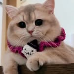 Florence Lam - @madebylittlecloud - Instagram
