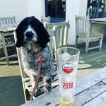 Florence Langley Hurst - @florencethepubdog - Instagram