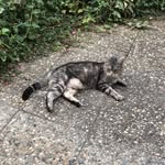 florence_larger - @florence_04134 - Instagram