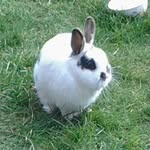 Florence Kenny - @florence_lavender - Instagram