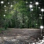 Florence Leduc - @florence.leduc.5074 - Instagram